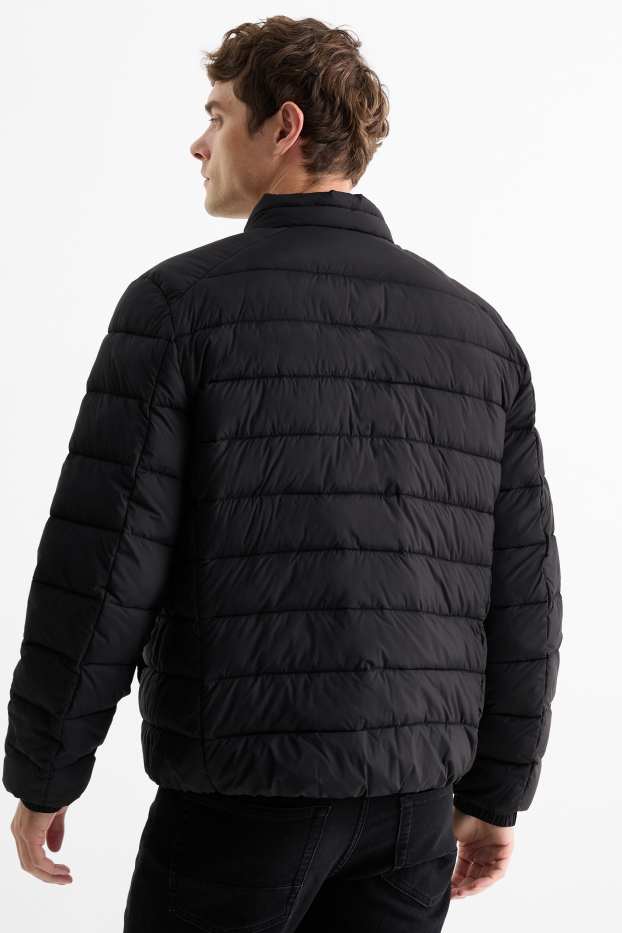 Herren - Steppjacke - schwarz
