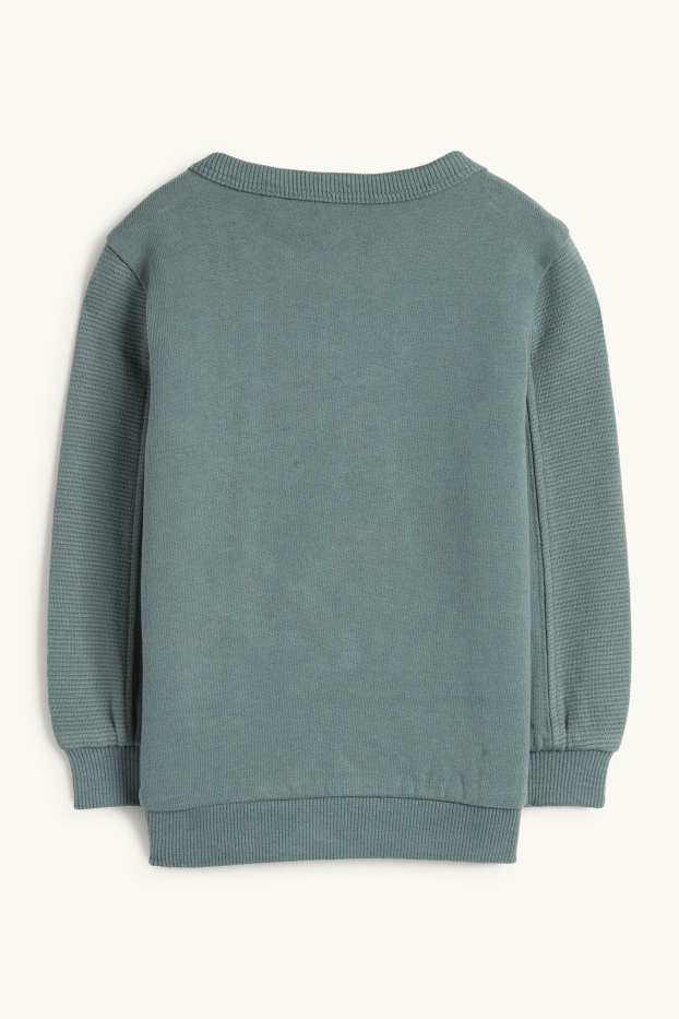 Baby Boys - Squirrel - baby sweatshirt - green