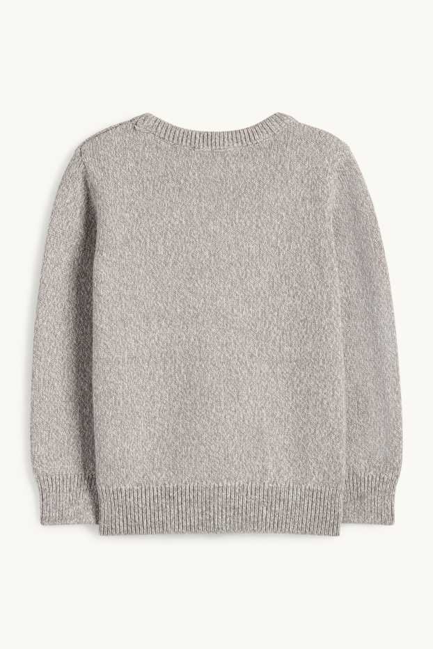 Enfants garçons - Raton laveur, renard et ours - pull - gris