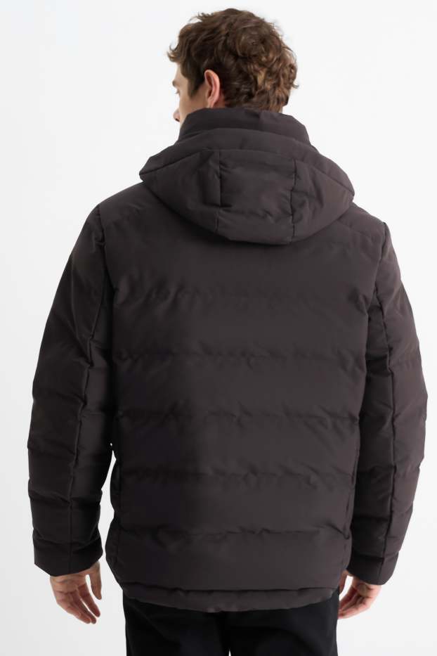 Heren - Gewatteerde jas met capuchon - waterafstotend - zwart