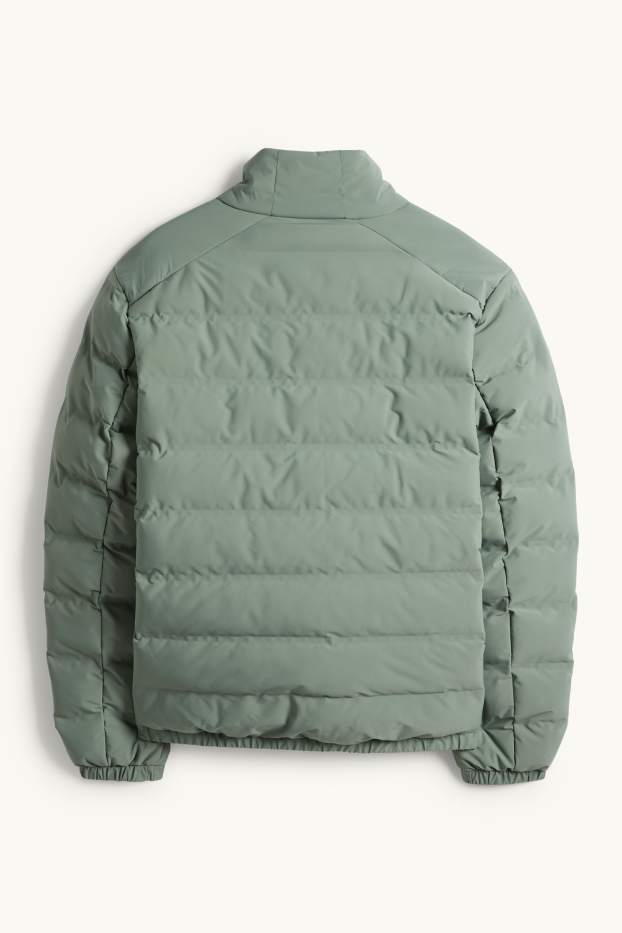 Heren - Gewatteerde jas - waterafstotend - groen