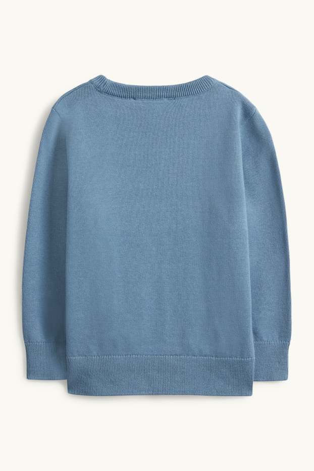 Enfants garçons - Raton laveur - pull - bleu