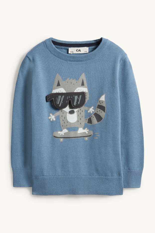 Enfants garçons - Raton laveur - pull - bleu