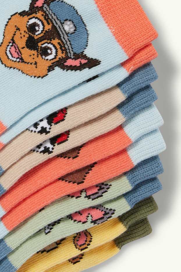 Copii - Băieți - Multipack 5 perechi - Patrula Cățelușilor - Chase, Zuma - șosete cu motive - albastru