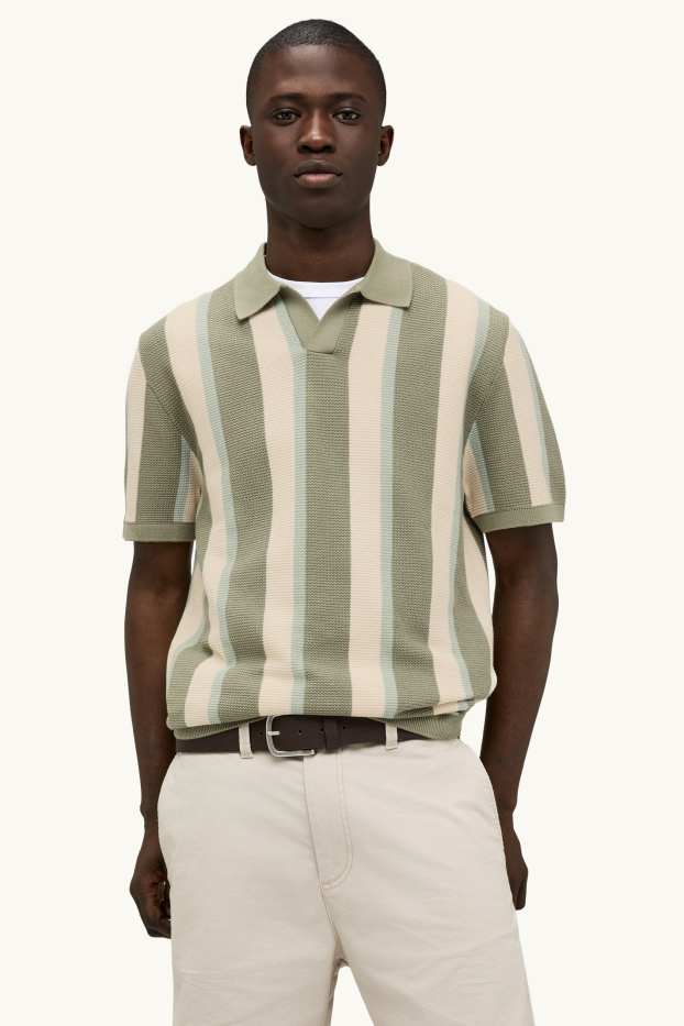 Herren - Strick-Poloshirt - Regular Fit - gestreift - strukturiert - grün