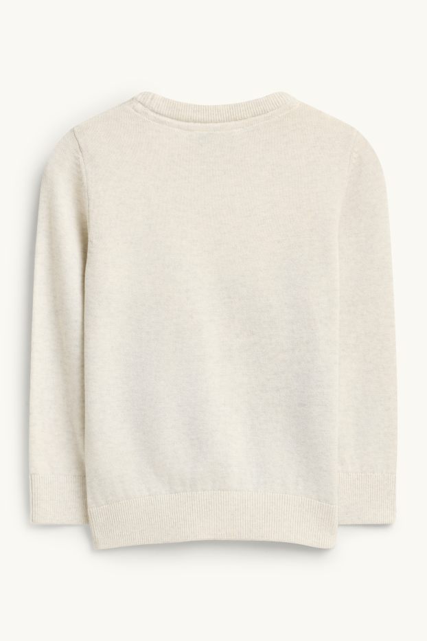 Enfants garçons - Ferme et dinosaure - Pull - beige