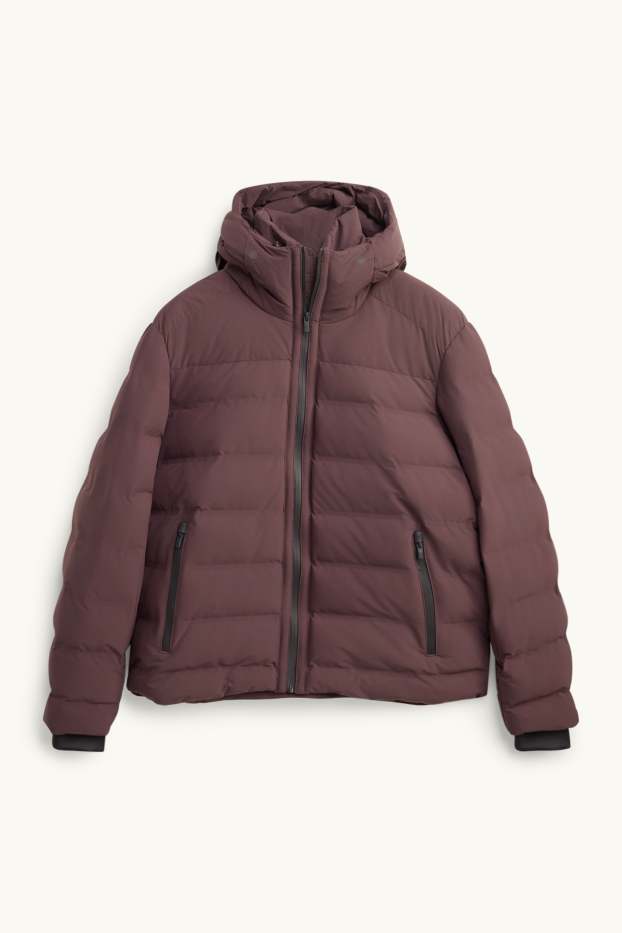 Herren - Funktions-Steppjacke mit Kapuze - gefüttert - bordeaux
