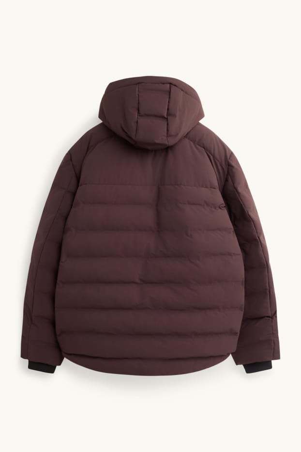 Herren - Funktions-Steppjacke mit Kapuze - gefüttert - braun