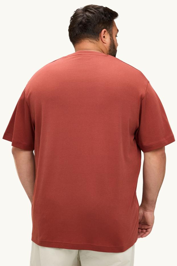Pánské - Tričko - relaxed fit - hnědá