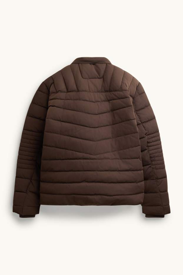 Herren - Steppjacke - braun