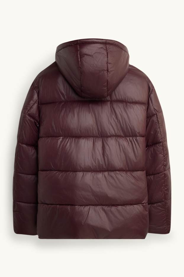 Men - Quilted jacket with hood - lined - water-repellent - dark brown