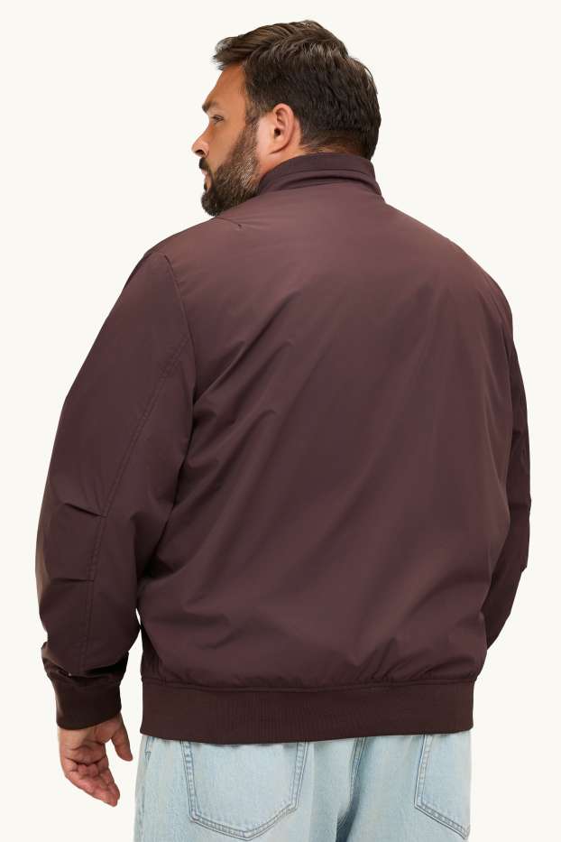 Hommes - Blouson - rembourré - finition déperlante - marron