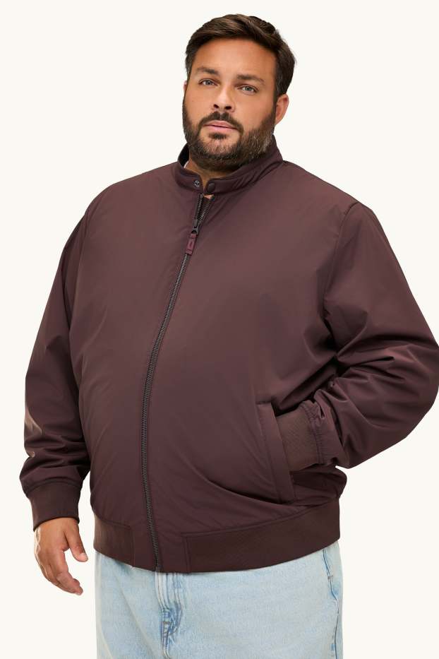 Hommes - Blouson - rembourré - finition déperlante - marron