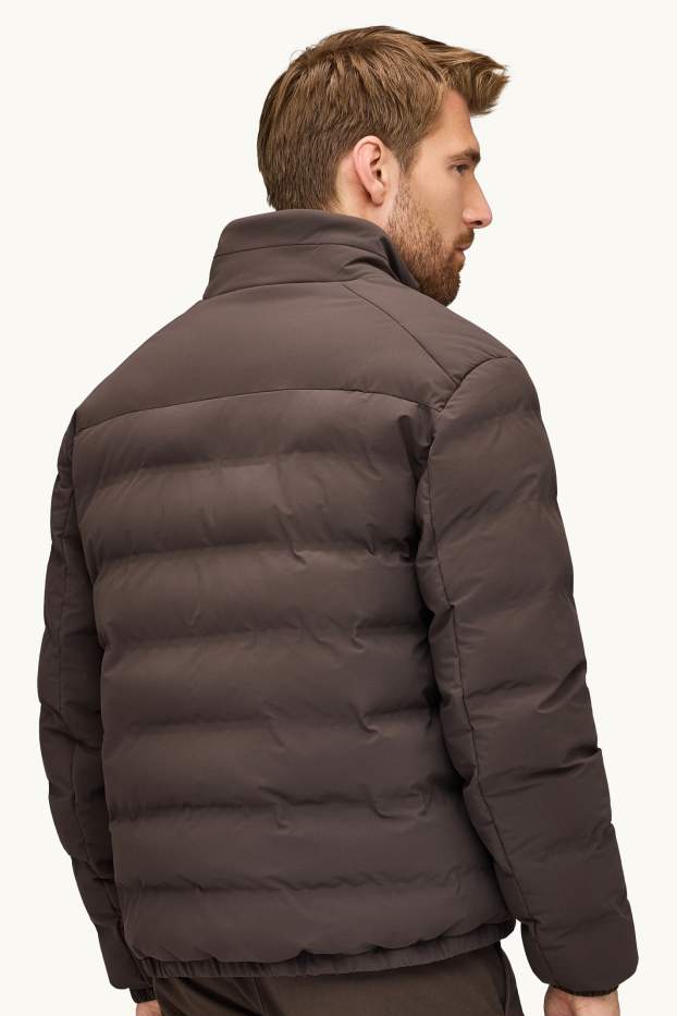 Herren - Funktions-Steppjacke - gefüttert - wasserabweisend - dunkelbraun