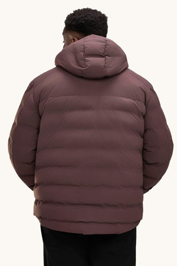 Herren - Funktions-Steppjacke mit Kapuze - gefüttert - braun