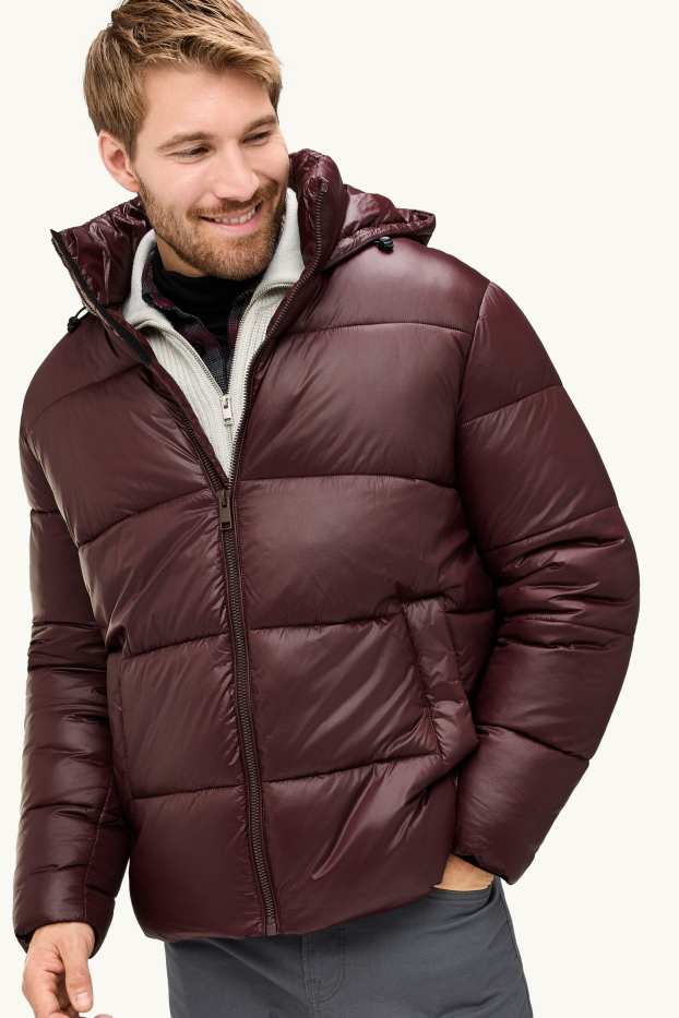 Men - Quilted jacket with hood - lined - water-repellent - dark brown