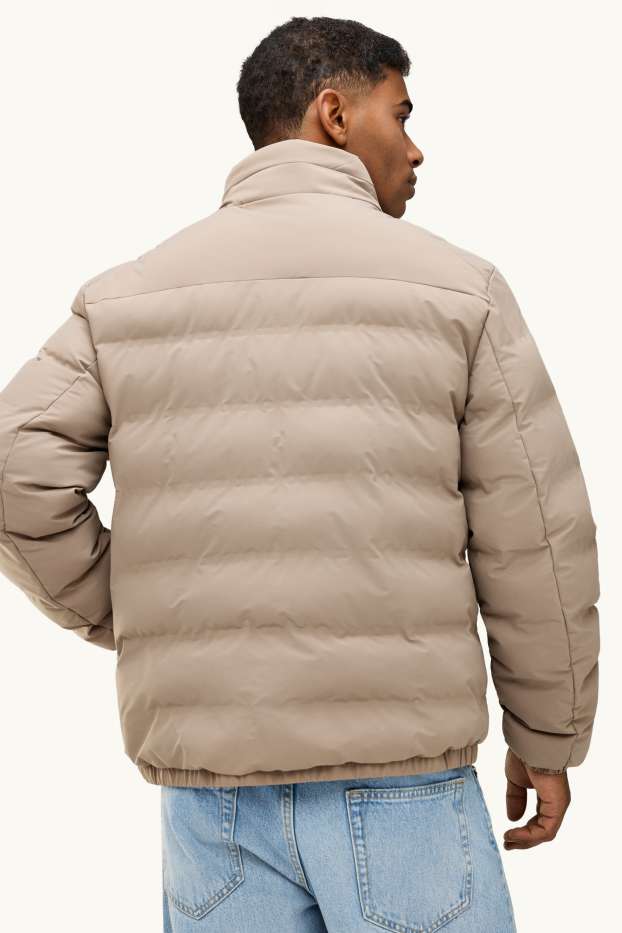 Herren - Steppjacke - gefüttert - beige