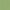 verde chiaro