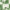 blanc / vert