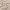 licht beige
