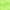 zielony neonowy