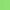 zielony neonowy