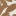 braun / beige