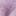 flieder