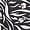negre/blanc (1)