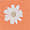 orange (1)