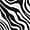 negre/blanc (1)