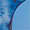 blau fosc (1)