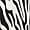 negre/blanc (1)