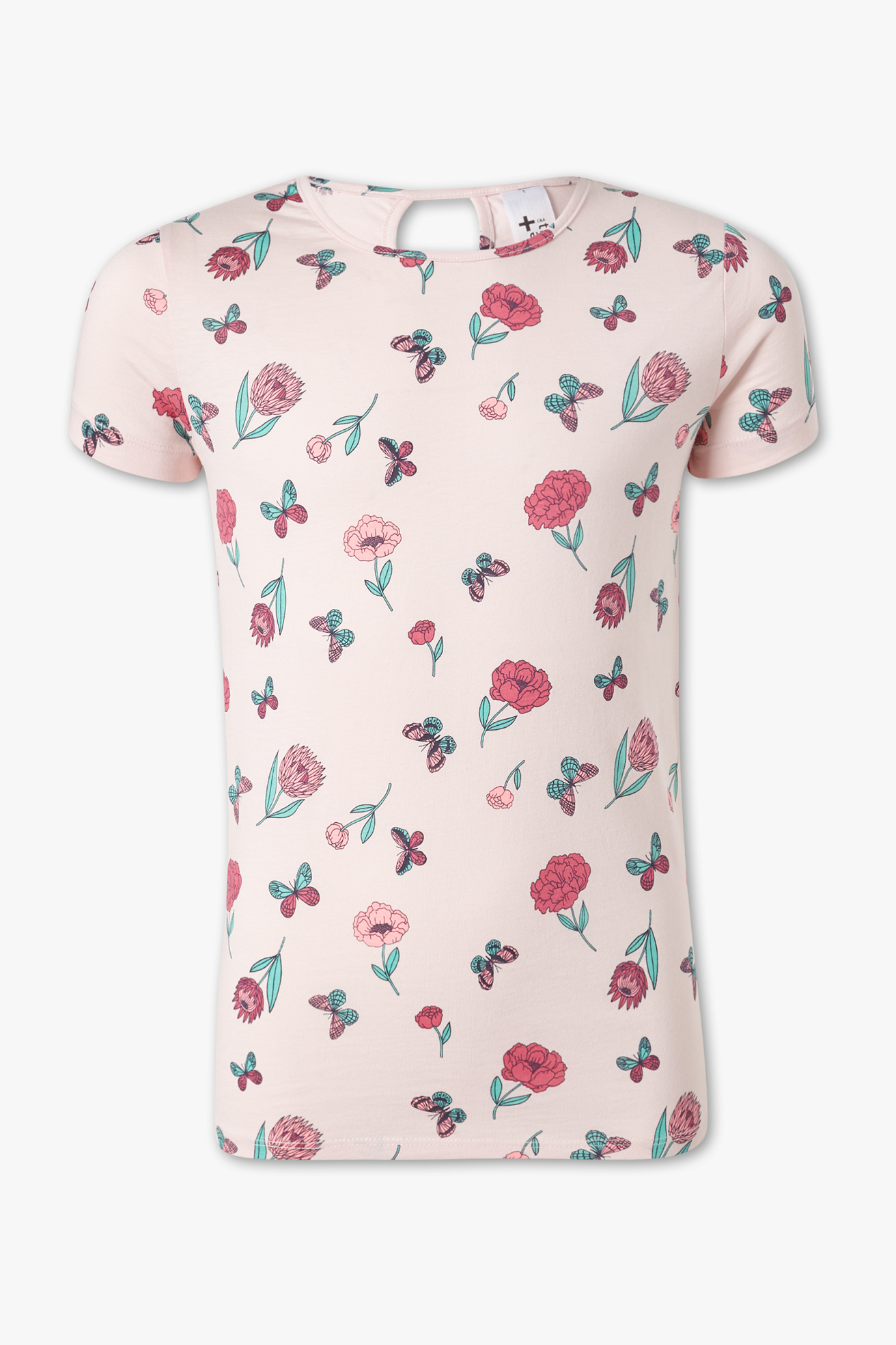 Flamingo Ro Bio