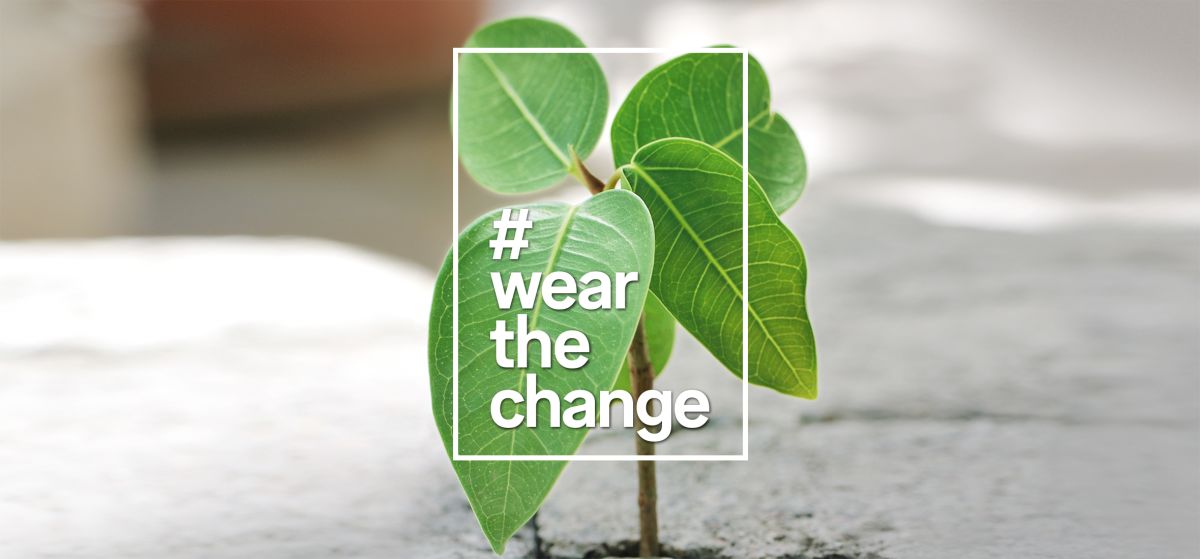 Pflanze wear the change