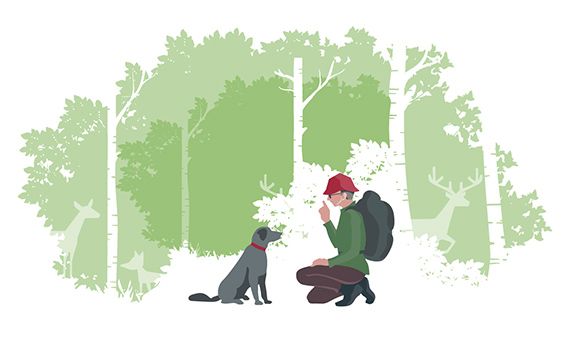 Conciencia ambiental: normas básicas de conducta en la naturaleza Conciencia ambiental: normas básicas de conducta en la naturaleza
