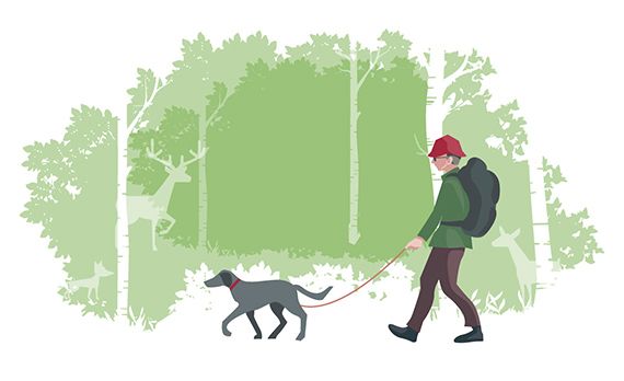 Conciencia ambiental: normas básicas de conducta en la naturaleza Conciencia ambiental: normas básicas de conducta en la naturaleza