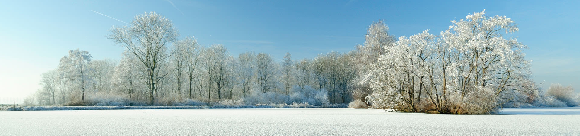 Winters landschap in Nederland