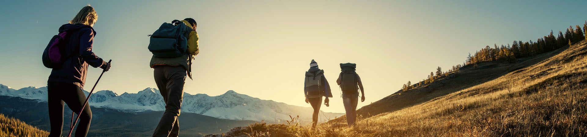 Hiking group walks along a path in the valley.