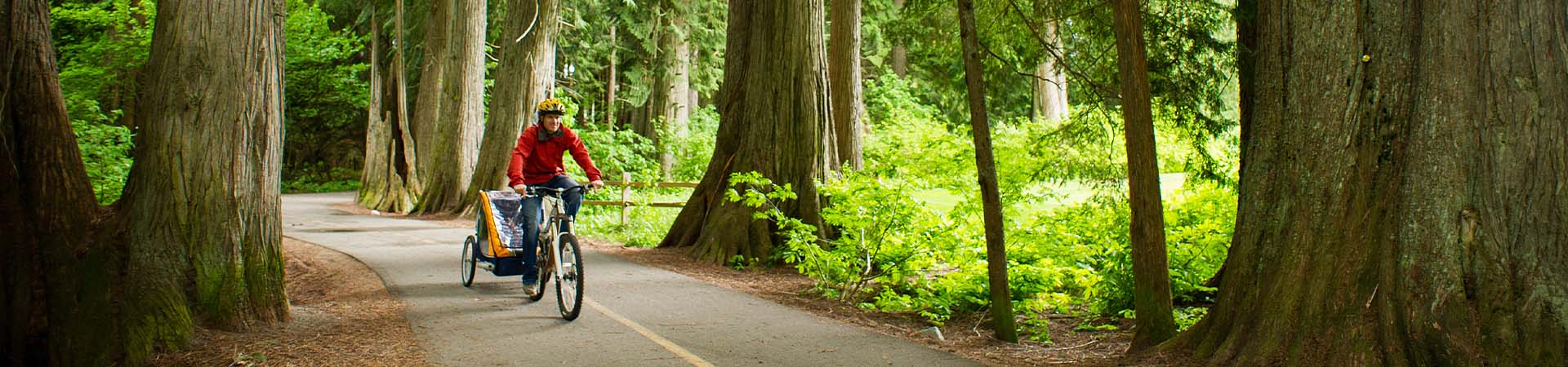 Kindertransport Fahrrad: Vater unternimmt mit seinem Kind eine Radtour durch den Wald.