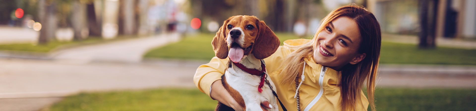 Hund beschäftgen: Junge Frau mit ihrem Hund im Stadtpark.
