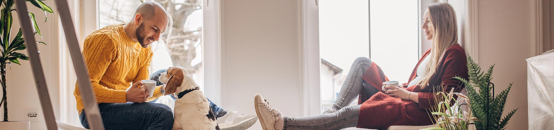 Chien en appartement : assurance chien pour bien accueillir son chien dans la famille.