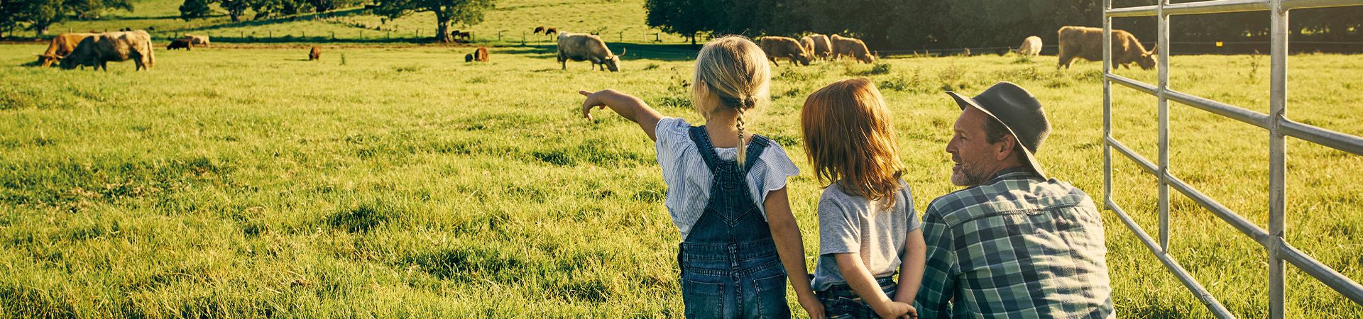 Eco-friendly holidays with children: a father and his children on a farm looking at the cows in a field.