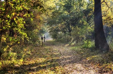 Wandelen als hobby