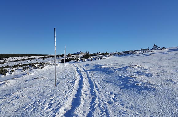 Krajobraz subalpejskiej tundry na Równi pod Śnieżką. Krajobraz subalpejskiej tundry na Równi pod Śnieżką.