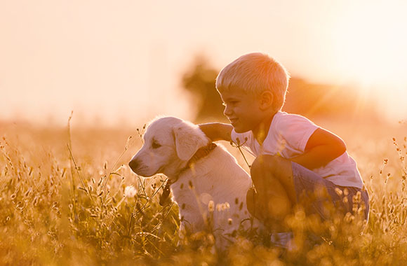 Un chien et un enfant dans un champ au coucher du soleil