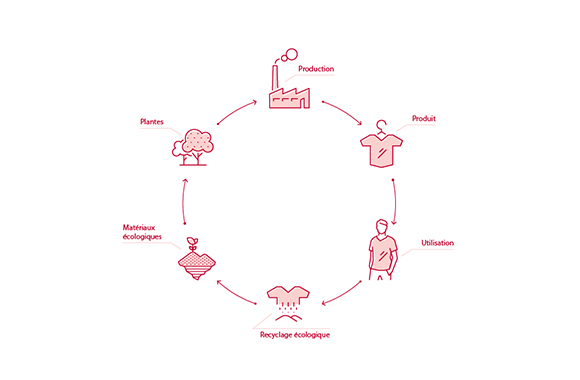 Le cycle biologique des biens de consommation.