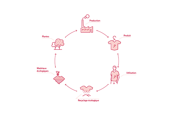 Le cycle biologique des biens de consommation. Le cycle biologique des biens de consommation.