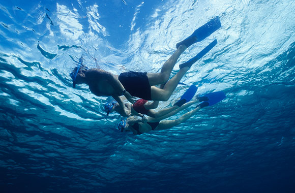 Snorkeling per principianti – Una famiglia si diverte in acqua. Snorkeling per principianti – Una famiglia si diverte in acqua.