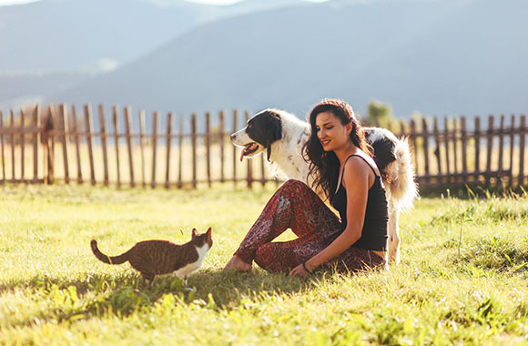 Quel animal de compagnie choisir ? Certains animaux demandent plus d’efforts que d’autres Quel animal de compagnie choisir ? Certains animaux demandent plus d’efforts que d’autres